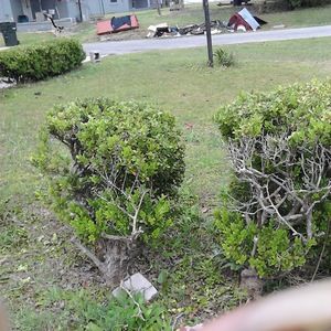 Meet your Posher, Ariel